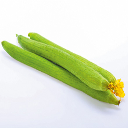 產(chǎn)品中心標(biāo)題六